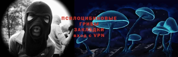 сатива Алзамай