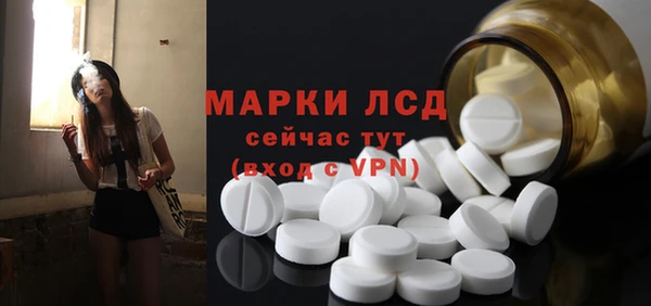сатива Алзамай