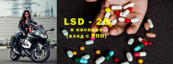 сатива Алзамай