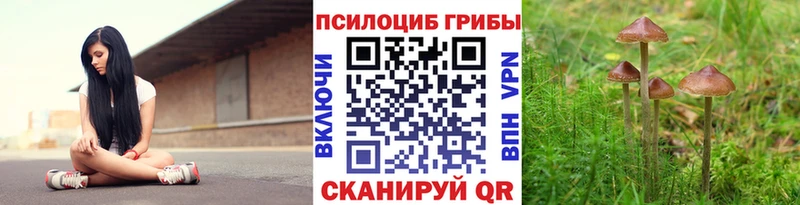 OMG зеркало  Владивосток  Галлюциногенные грибы прущие грибы 